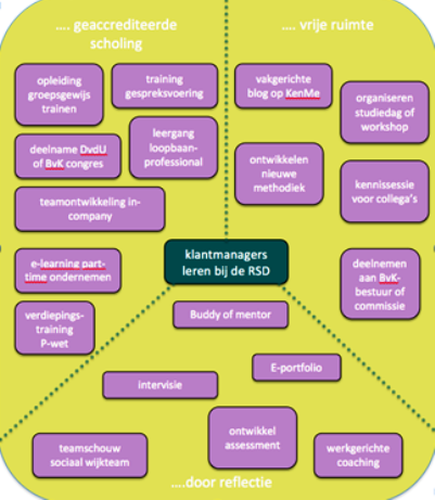 schema-ontwikkelingsplan-rsd-de-liemers